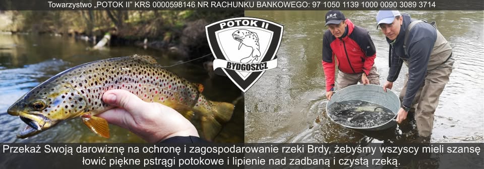 Zarybianie rzeki Brdy